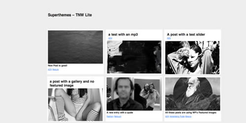 30+  Pinterest  WordPress 