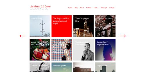 30+  Pinterest  WordPress 