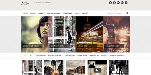 30+  Pinterest  WordPress 